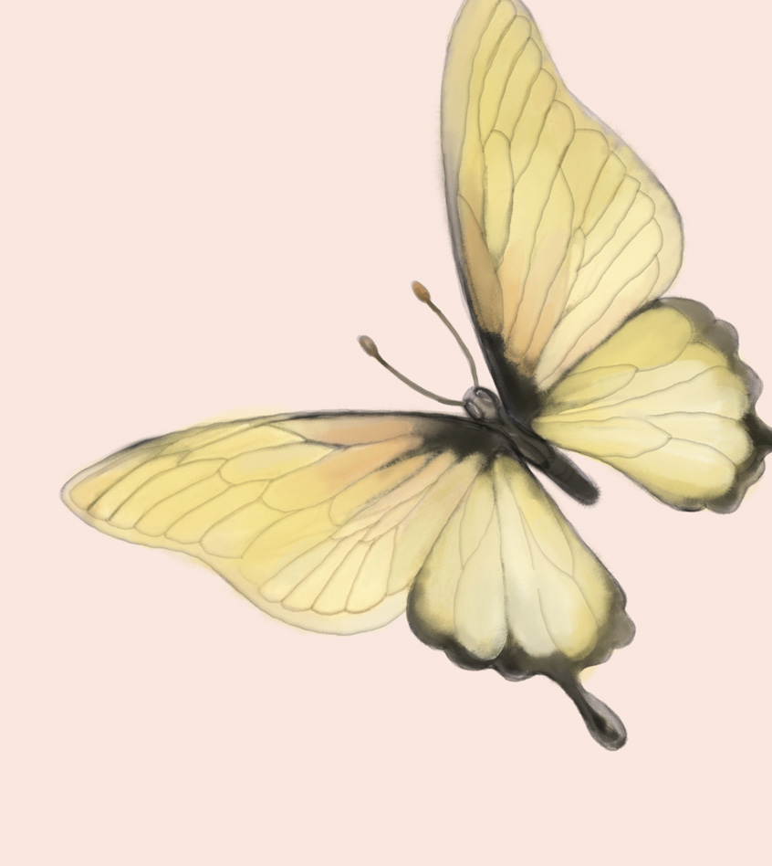 Butterfly mini v2