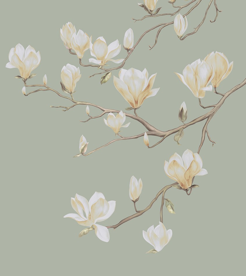 MAGNOLIYA_MINI
